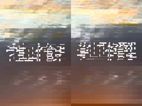 学生工作管理