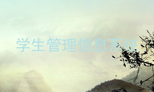 学生管理信息系统