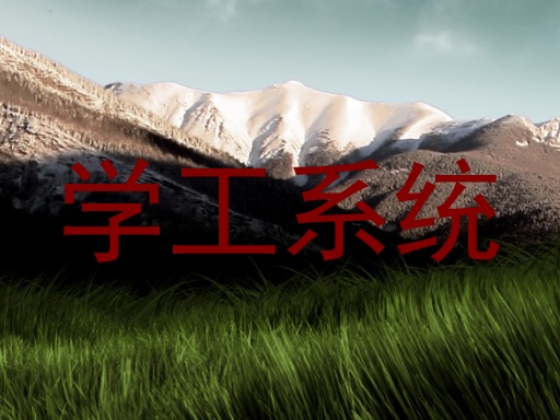 学工系统