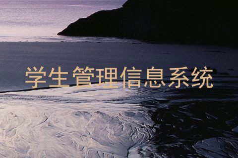 学生管理信息系统