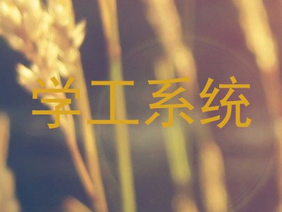 学工系统