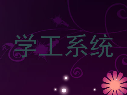 学工系统