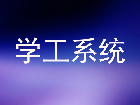 学工系统