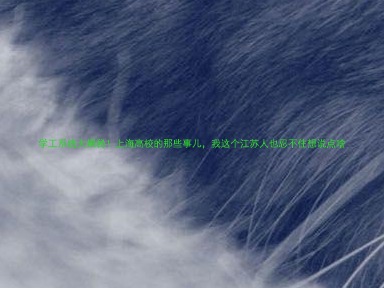 学工系统大揭秘！上海高校的那些事儿，我这个江苏人也忍不住想说点啥