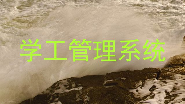 学工管理系统