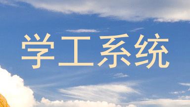学工系统