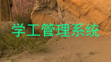 学工管理系统