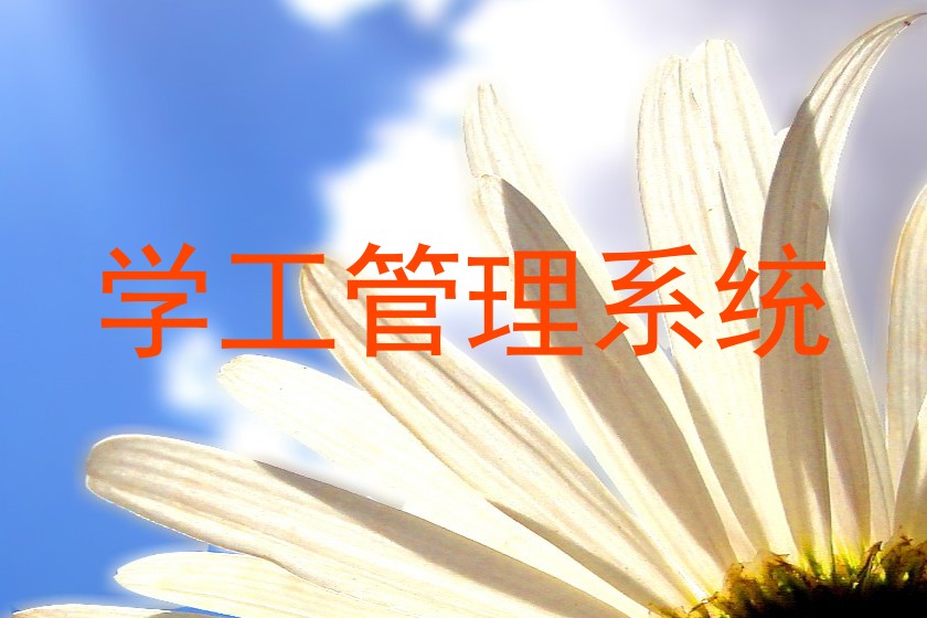 学工管理系统