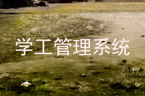 学工管理系统