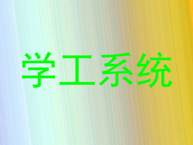 学工系统