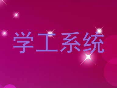 学工系统