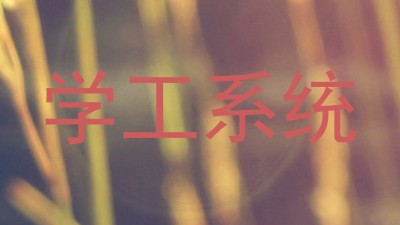 学工系统