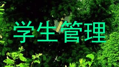 学生管理