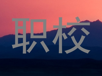 职校