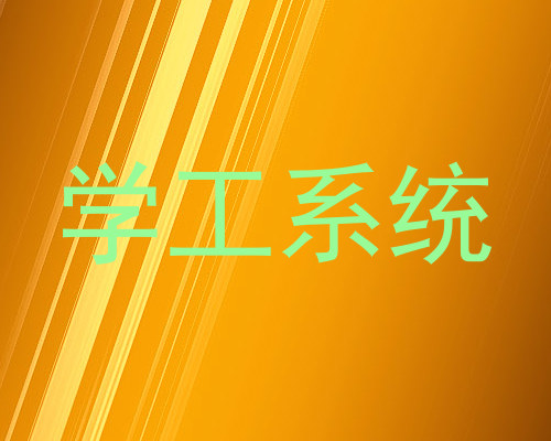 学工系统