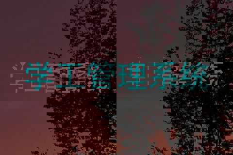 学工管理系统