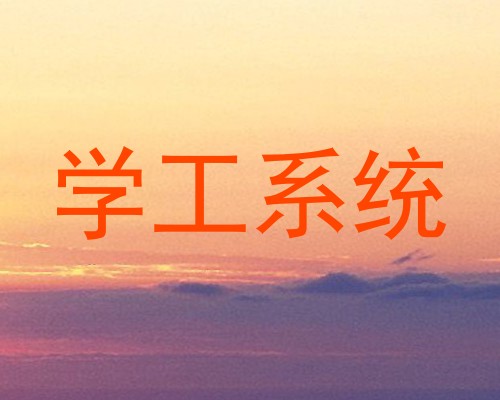 学工系统