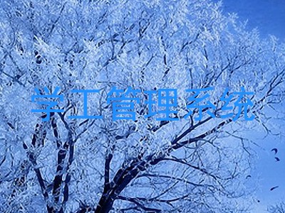 学工管理系统