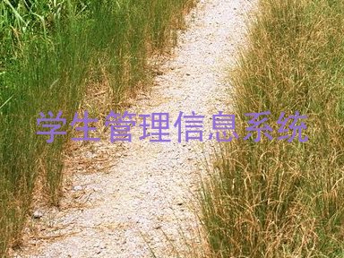 学生管理信息系统