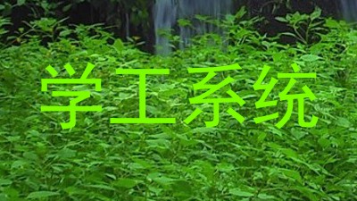 学工系统