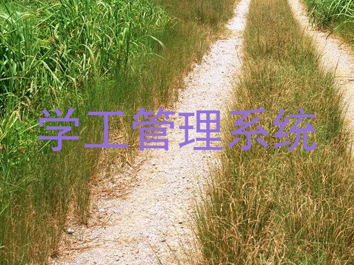 学工管理系统