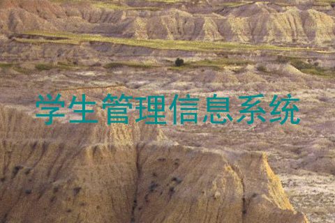 学生管理信息系统