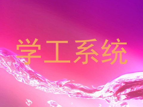 学工系统