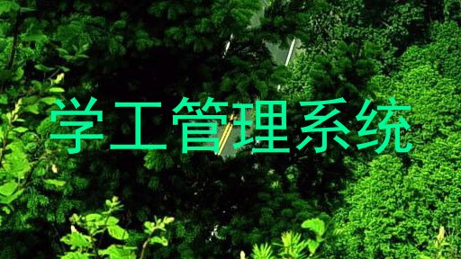 学工管理系统