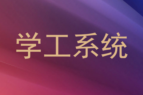 学工系统
