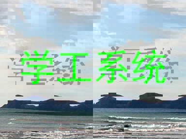 学工系统