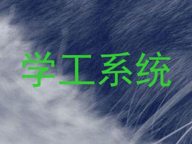 学工系统