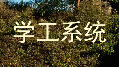 学工系统