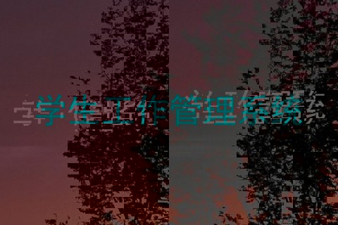 学生工作管理系统