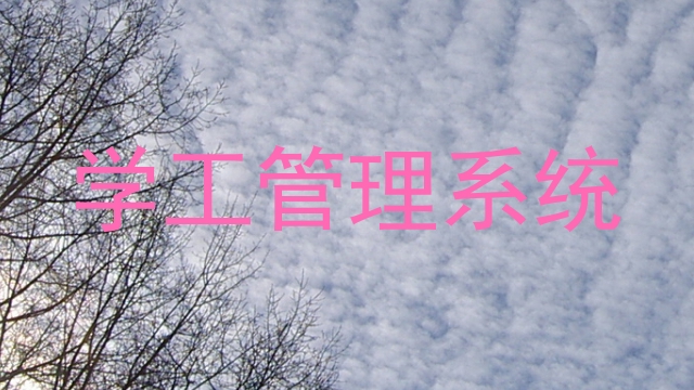 学工管理系统