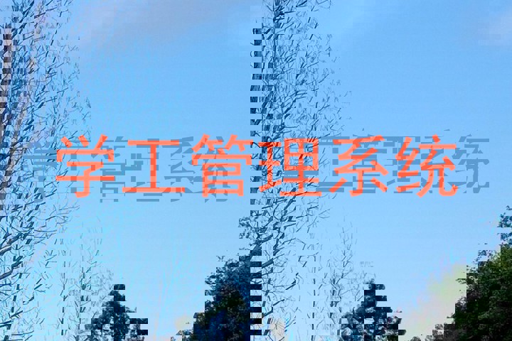 学工管理系统