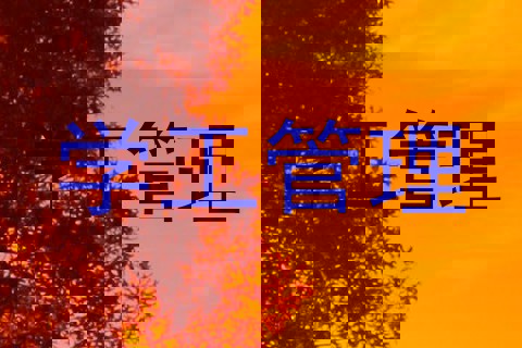 学工管理