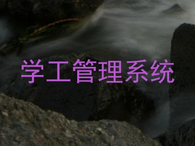 学工管理系统