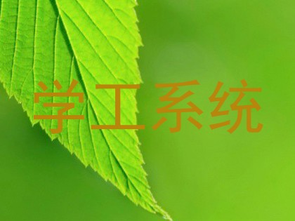 学工系统