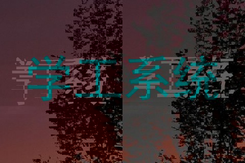 学工系统