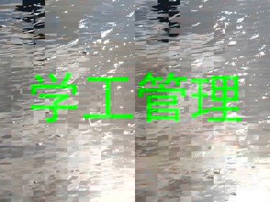 学工管理