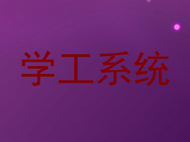 学工系统