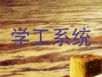 学工系统