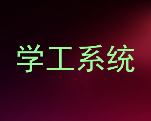 学工系统