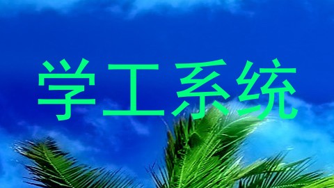 学工系统