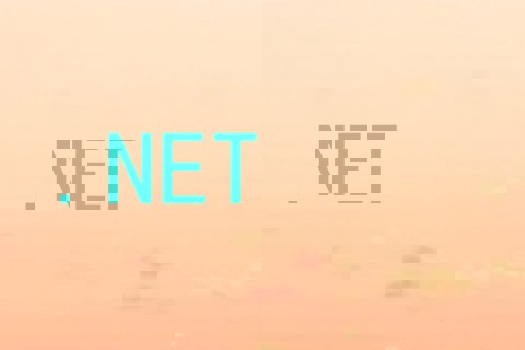 .NET