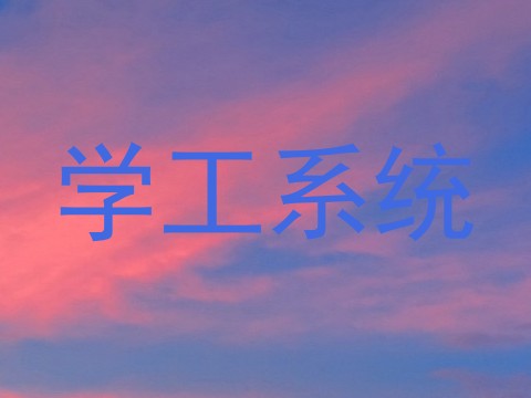 学工系统