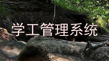学工管理系统