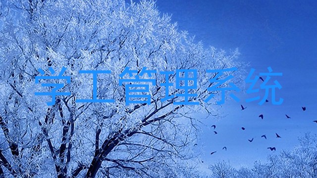 学工管理系统