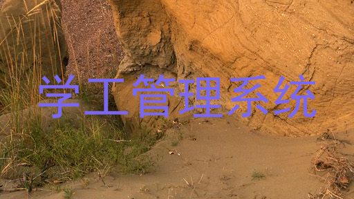 学工管理系统
