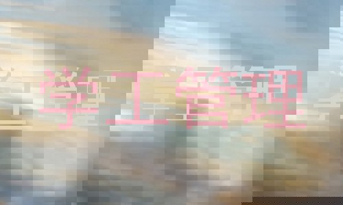 学工管理
